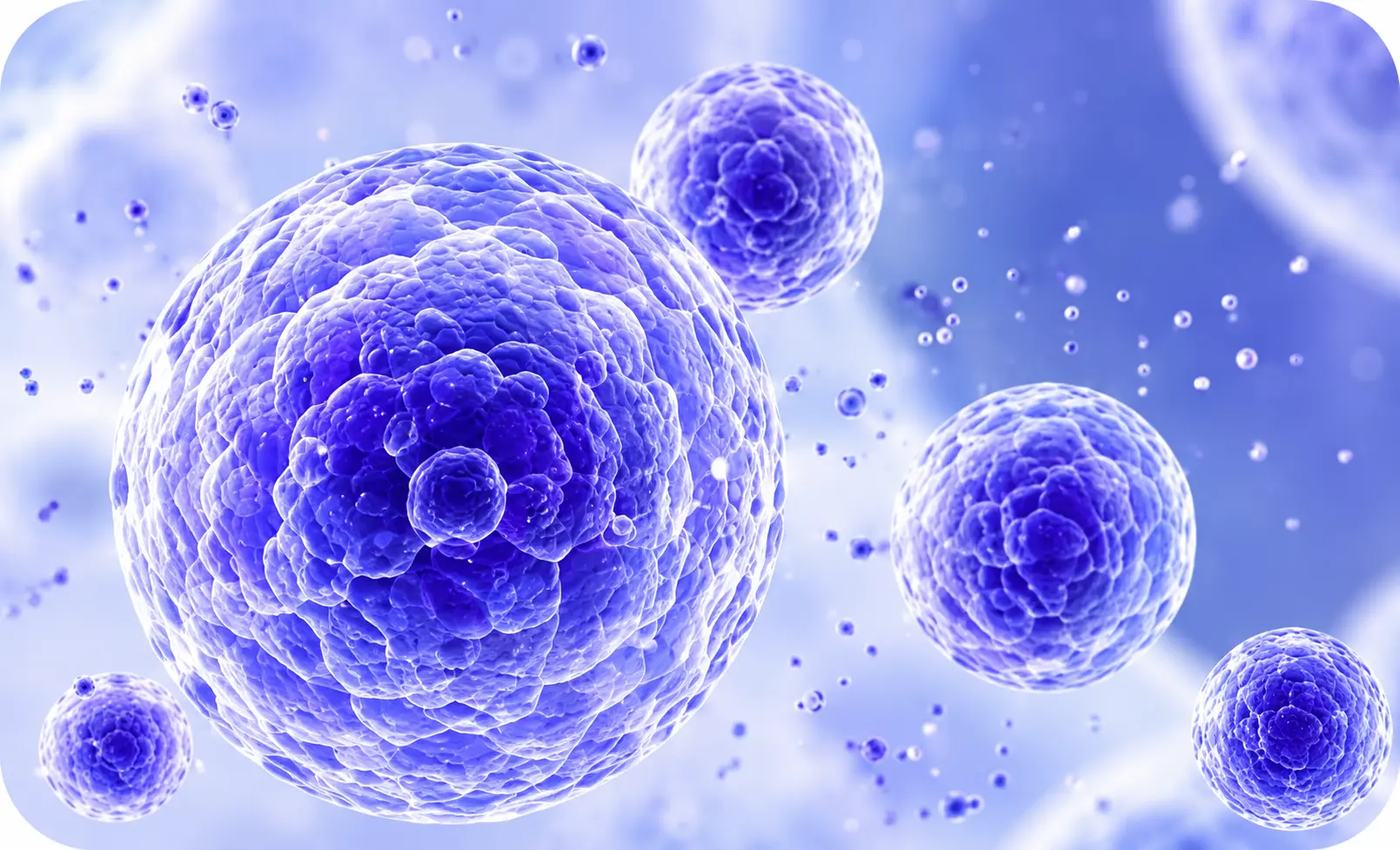 Extracellular vesicles