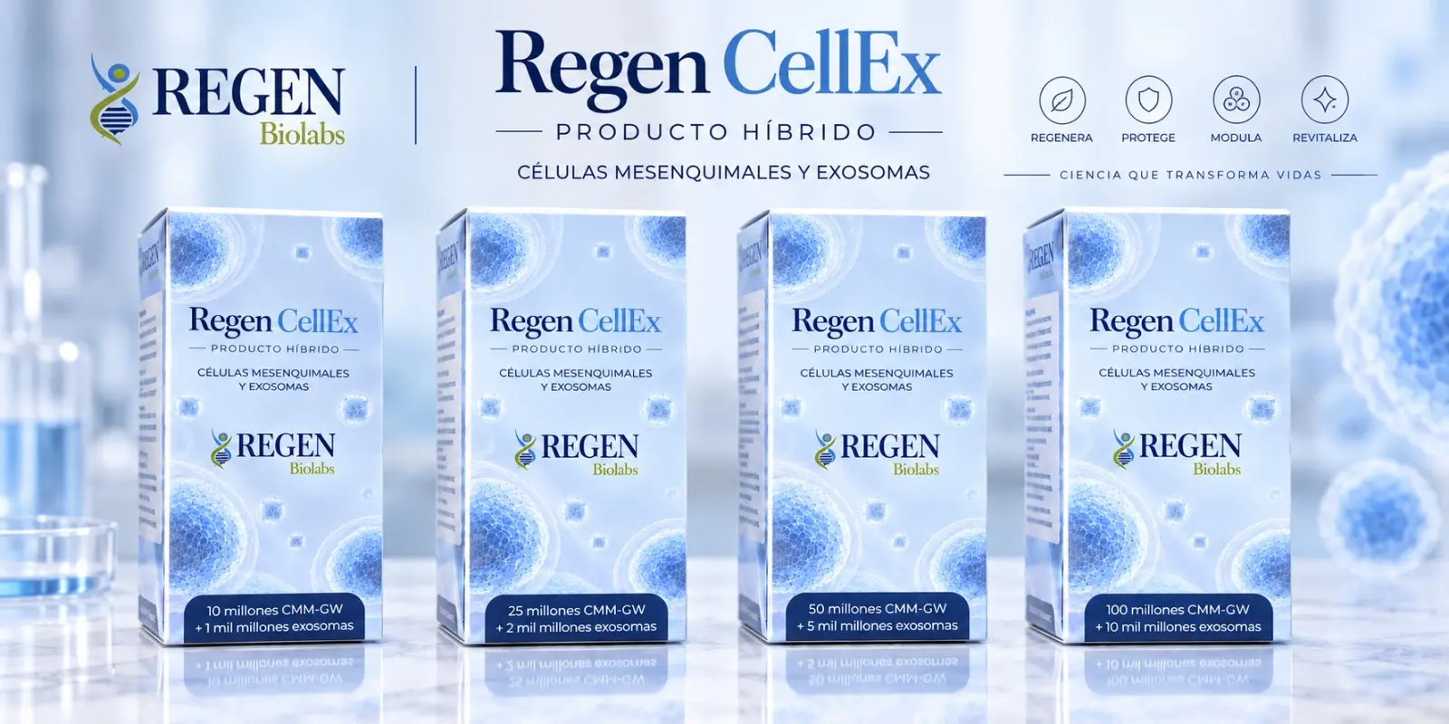 Hybrid MSC + Exosomes product