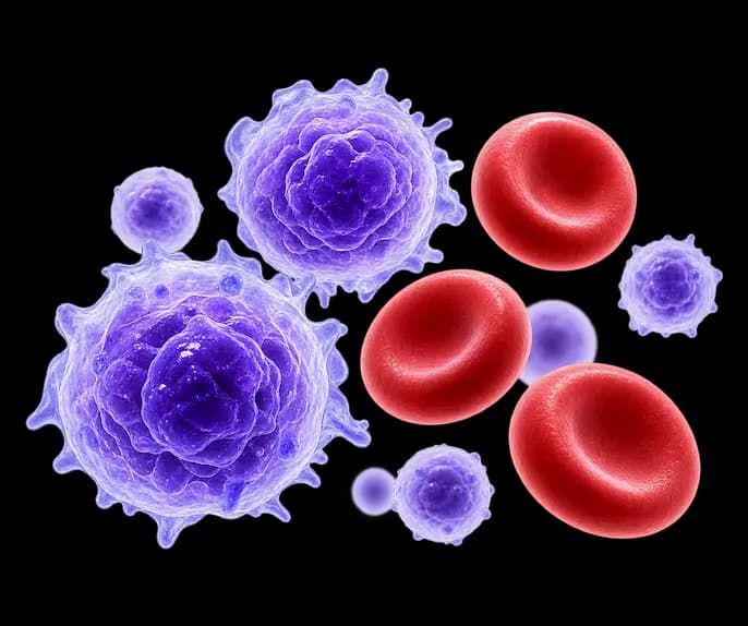 Hematopoietic Cells (CD34 and CD45)