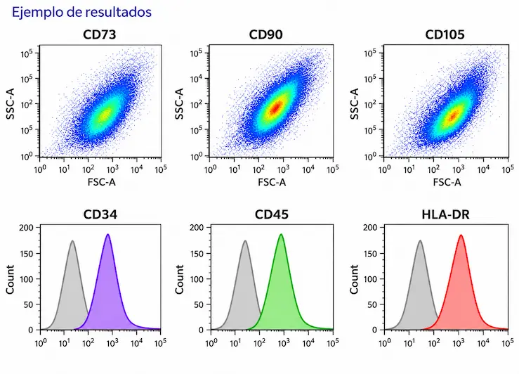 Flow cytometry results example (CD73, CD90, CD105, CD34, CD45, HLA-DR)