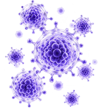 Exosomes