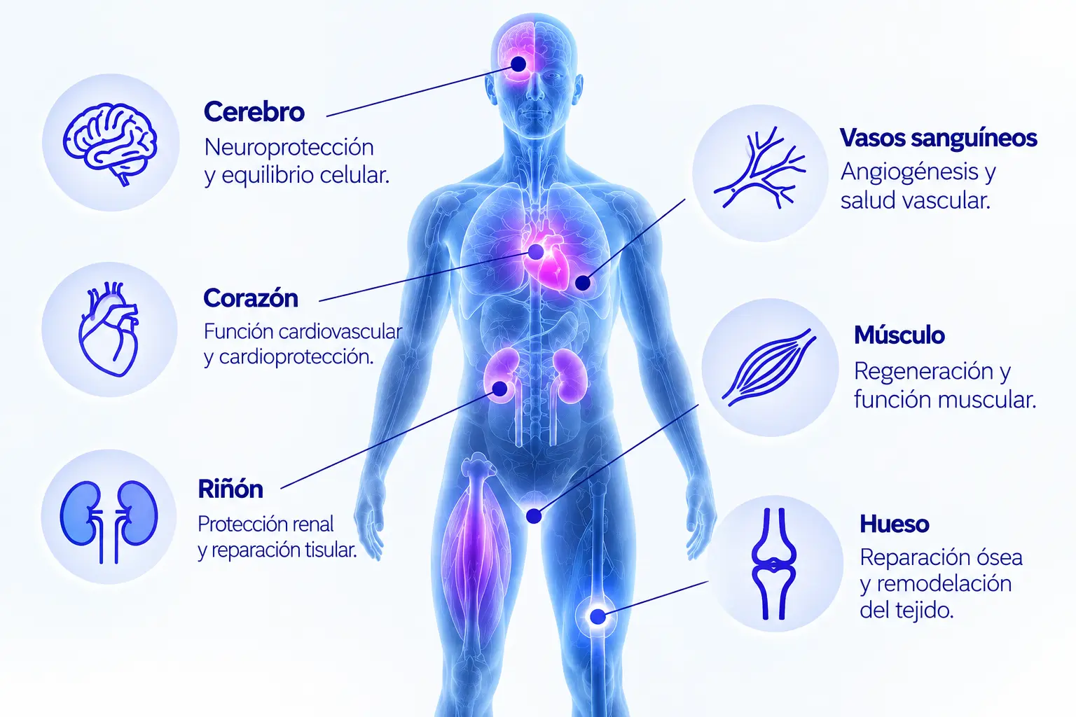 Integral Health